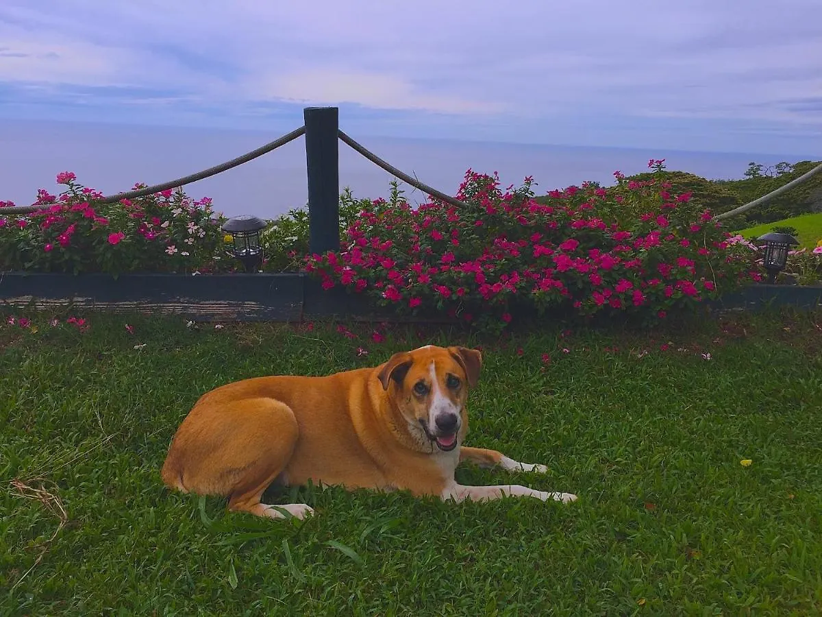 Kona Joe Coffee Farm Hotel Kealakekua 0*,  United States