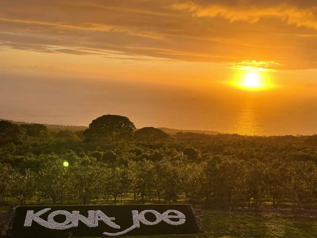 Kona Joe Coffee Farm Hotel Kealakekua United States